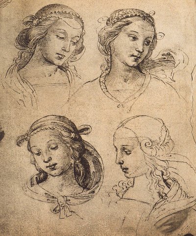 Study of Four Female Faces by Raffaello Sanzio Raphael